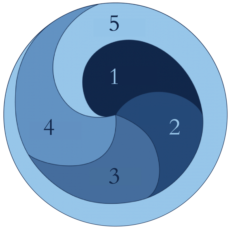 Los 5 Niveles - Caracola